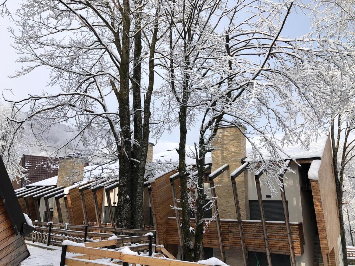 Meshtekna Villa Brezovica Kültér fotó