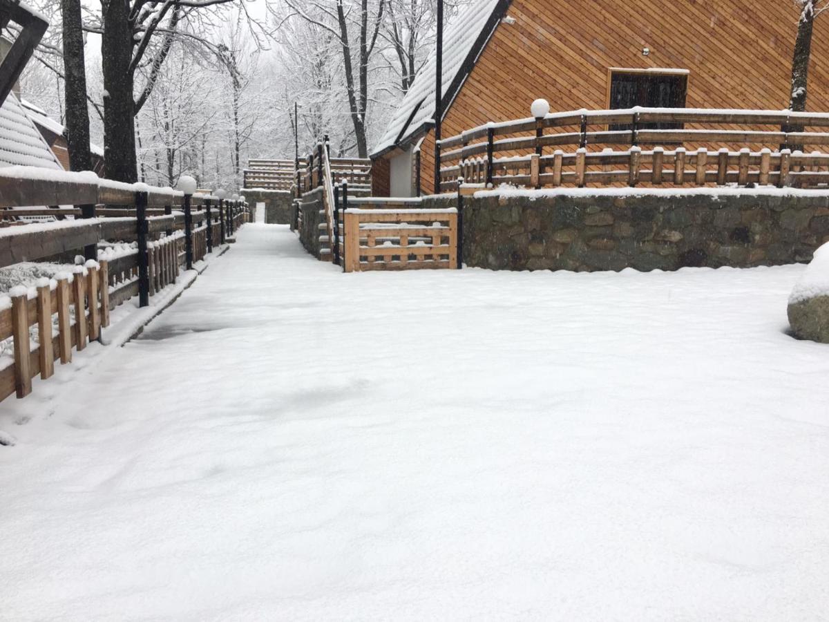 Meshtekna Villa Brezovica Kültér fotó