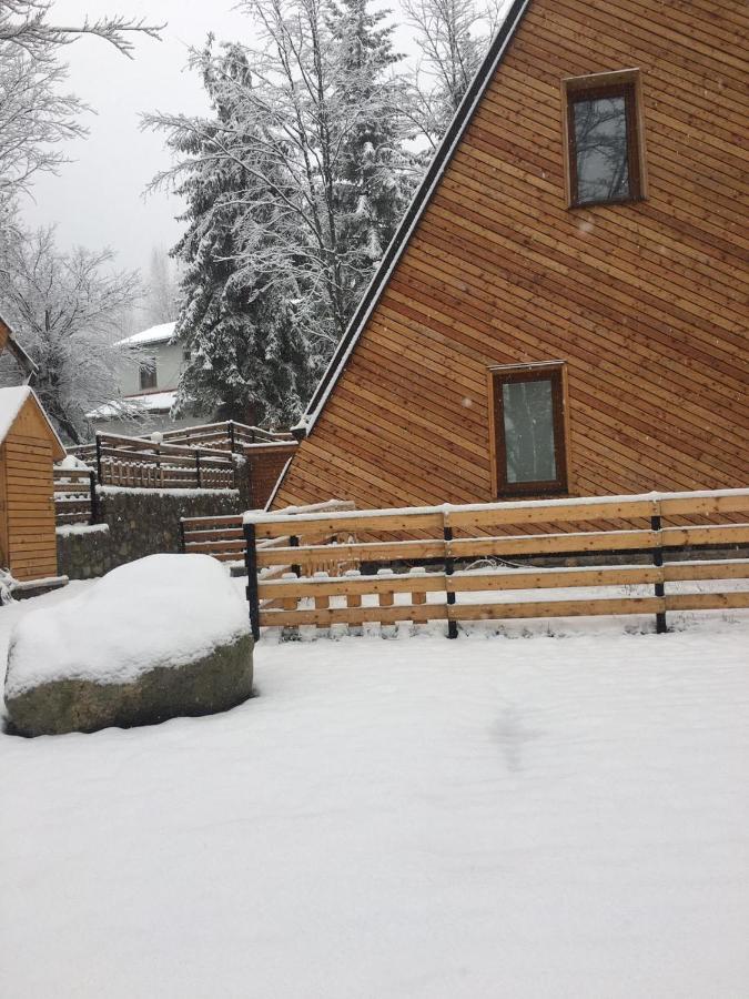 Meshtekna Villa Brezovica Kültér fotó